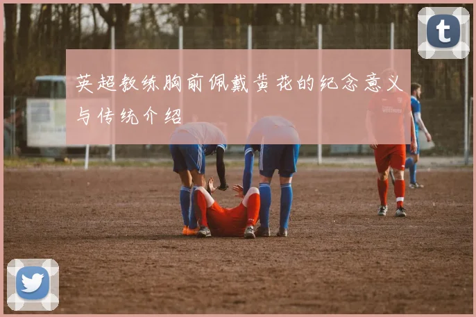 英超教练胸前佩戴黄花的纪念意义与传统介绍