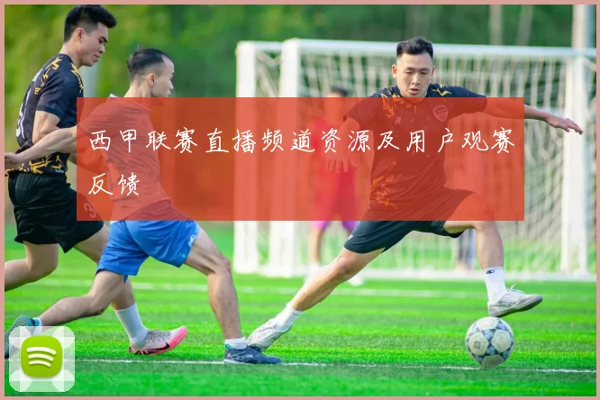 西甲联赛直播频道资源及用户观赛反馈