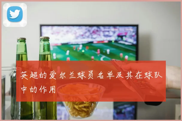 英超的爱尔兰球员名单及其在球队中的作用