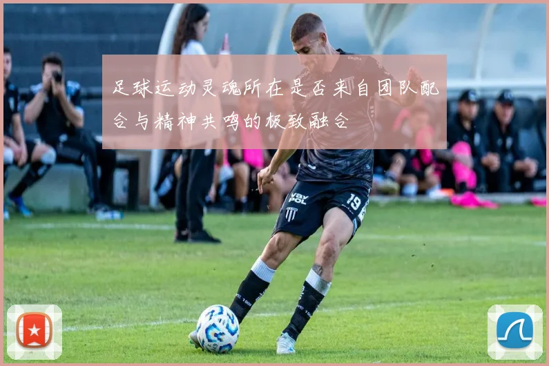 足球运动灵魂所在是否来自团队配合与精神共鸣的极致融合