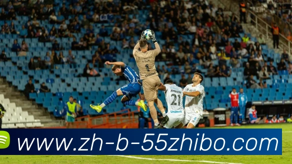 多媒体互动体验